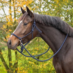 Rope Halter with Reins