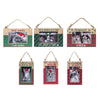 Feliz Naughty Pets Frame Ornaments - Sold Individually