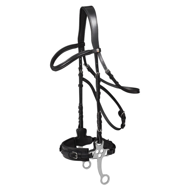 X-Line Hackamore with Bridle and Web Reins