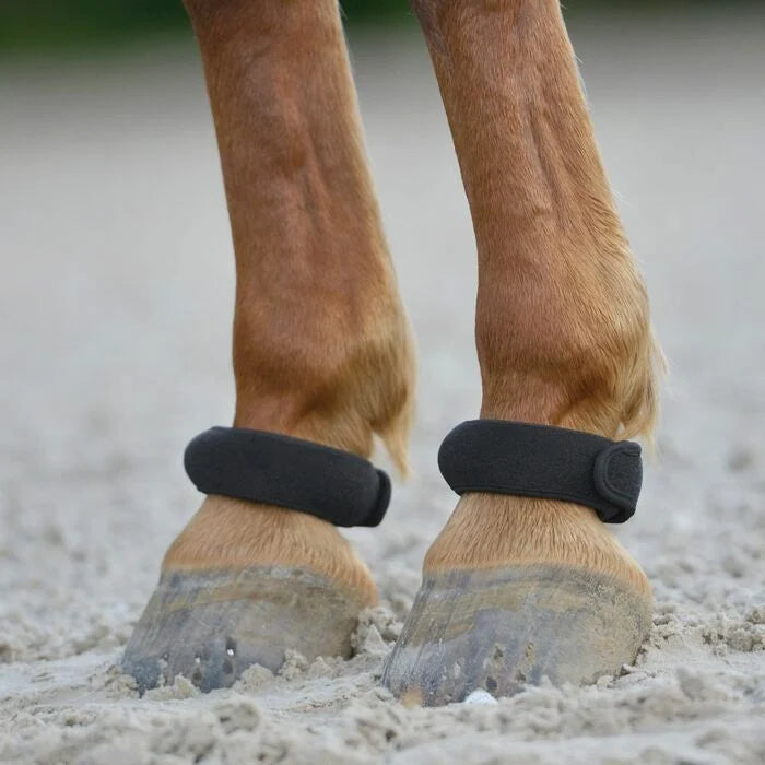 Waldhausen Fetlock Rings