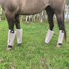 Country Legend Fly Boots