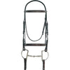 Sage Family Raised Fancy Stitched Bridle - Draft