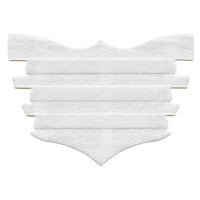 FLAIR Equine Nasal Strips (pack of 6)