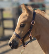 Rose Gold Leather Halter for Foals/Minis/Shetlands