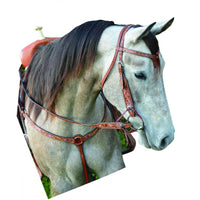 SIERRA Blue Feather Breastcollar