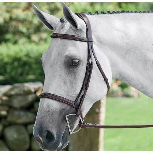 HDR Pro Stress Free Fancy Stitched Padded Bridle + Free Name Tag
