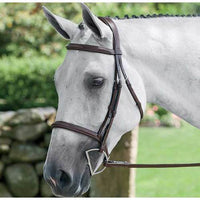 HDR Pro Stress Free Fancy Stitched Padded Bridle + Free Name Tag