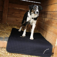 Back On Track® Pet Mat