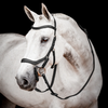 Horseware Micklem® 2 Competition Bridle + FREE Custom Name Tag!