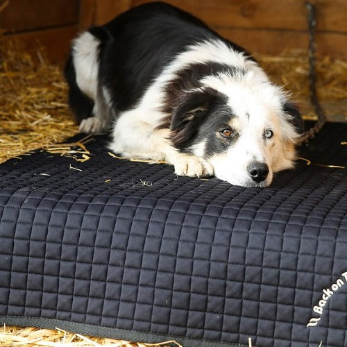Back On Track® Pet Mat