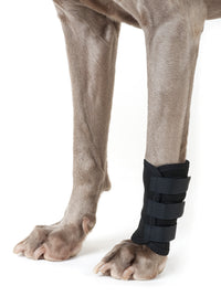 Back On Track® Dog Leg Wrap