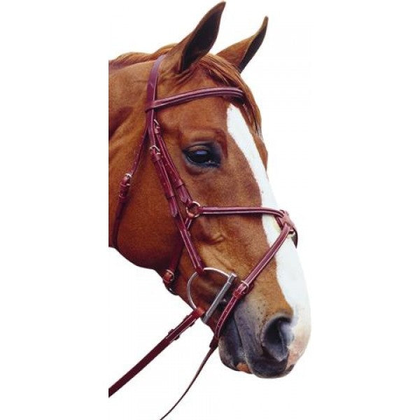 Pessoa Raised Figure-8 Noseband