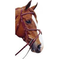 Pessoa Raised Figure-8 Noseband