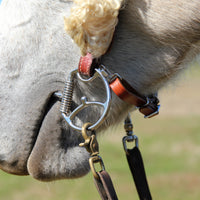 Myler Western Dee w/ Hooks MB02