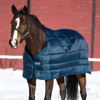 Horseware® 100G Liner Lite + FREE Custom Name Tag!