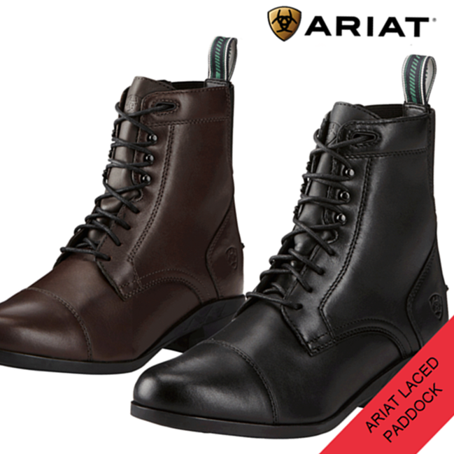 Ariat lace up paddock boots online