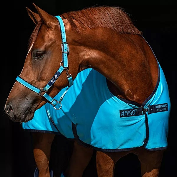 Amigo® Padded Halter