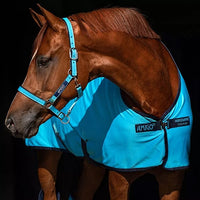 Amigo® Padded Halter