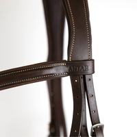 Antarès® Origin Hunter Bridle with Laced Reins + FREE Custom Name Tag!
