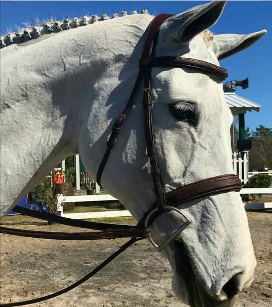 Antarès® Origin Hunter Bridle with Laced Reins + FREE Custom Name Tag!