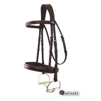 Antarès® Signature Hunter Bridle + FREE Custom Name Tag!