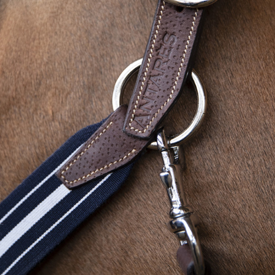 Antarès® Stressless Halter + FREE Custom Name Tag!