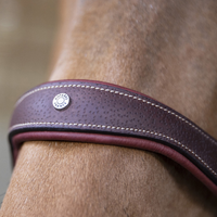 Antarès® Stressless Halter + FREE Custom Name Tag!