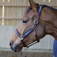 Antarès® Stressless Halter + FREE Custom Name Tag!