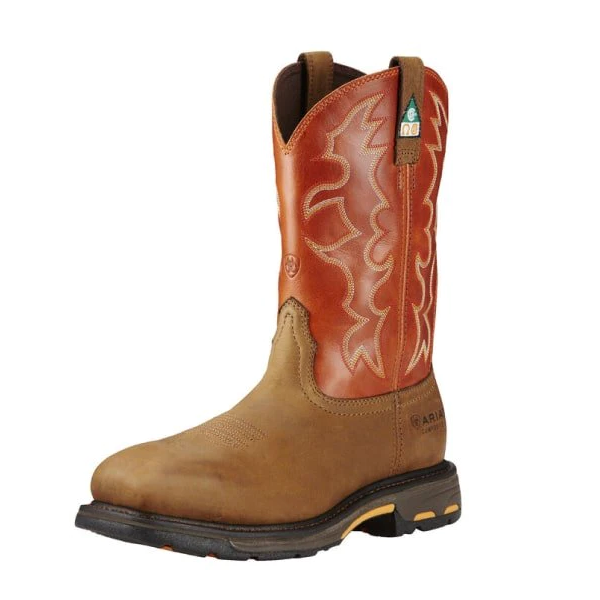 Boys ariat top cowboy boots
