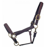 Bromont Padded Leather Halter + FREE Custom Name Tag