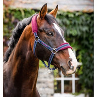 Rambo® Padded Halter
