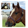 Fancy Stitched Leather Halter w/ Coloured Padding + FREE Custom Name Tag