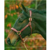 HDR Fancy Stitched Padded Halter + FREE Custom Name Tag