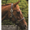 HDR Kushy Plain Raised Halter + FREE Custom Name Tag