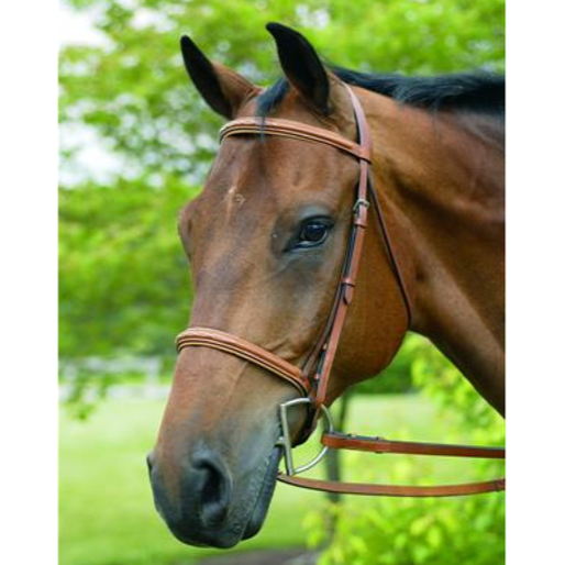 HDR Pro Raised Fancy Stitched Padded Bridle + Free Name Tag