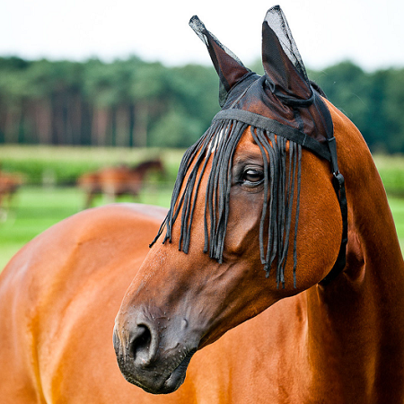 HORZE Mesh Ear Fly Fringe