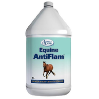 Omega Alpha® AntiFlam™ – 4L