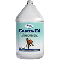 Omega Alpha® Gastra-FX™ – 4L