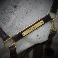 Brass Custom Halter Name Plate
