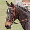 Rodrigo Fancy Stitched Padded Bridle