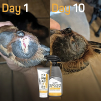 Absorbine Silver Honey Skin Care Ointment - 56.7G