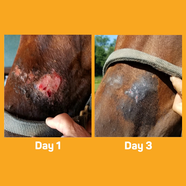 Absorbine Silver Honey Skin Care Ointment - 56.7G