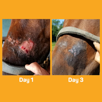 Absorbine Silver Honey Skin Care Ointment - 56.7G