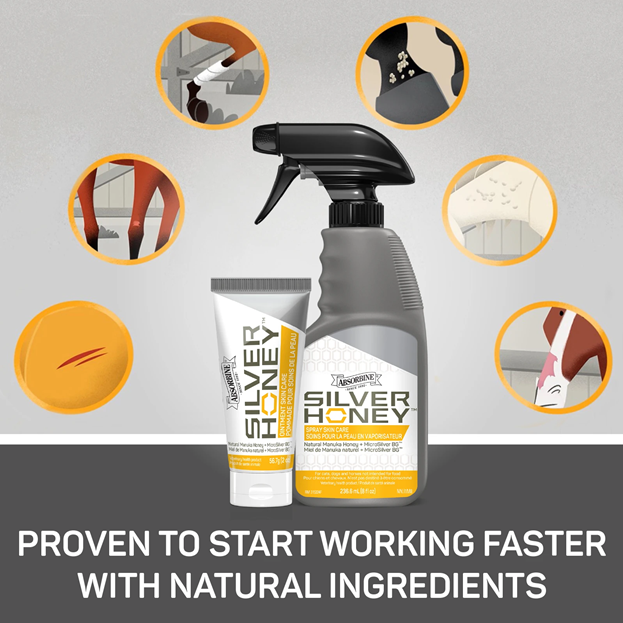 Absorbine Silver Honey Skin Care Ointment - 56.7G