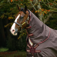 Amigo® Bravo 12 Original Turnout Hood - 0G