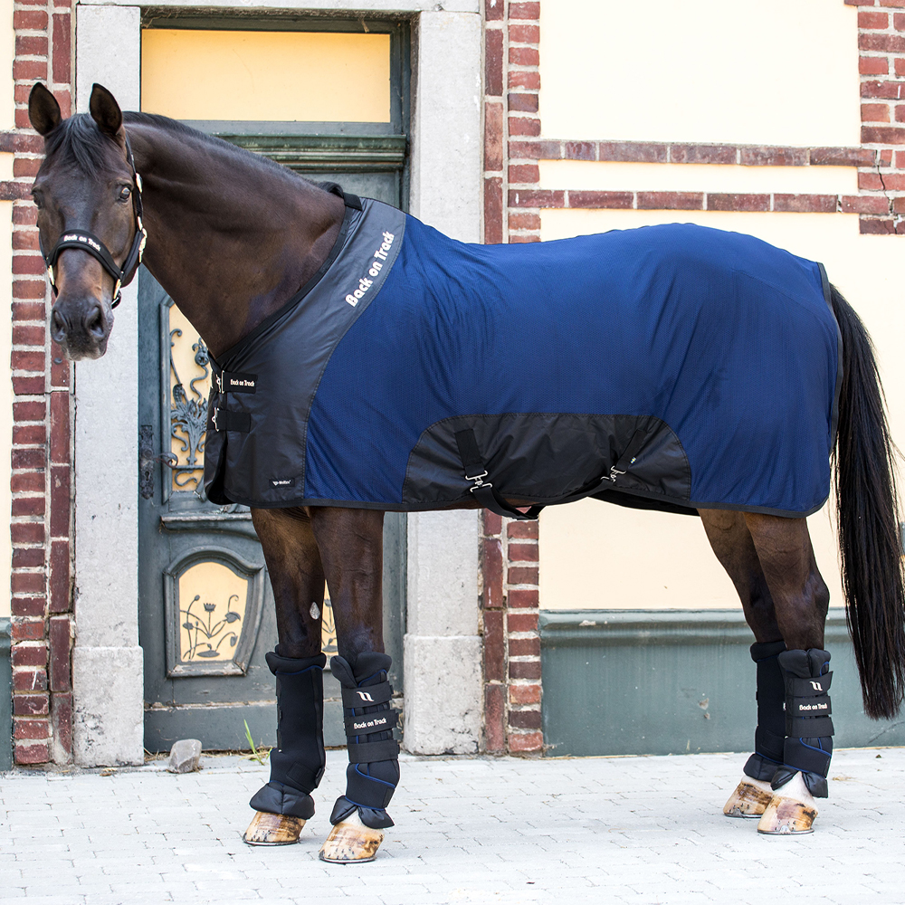 Back On Track® Royal Deluxe Mesh Rug with Hood