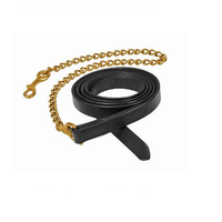 HDR Leather Lead with Chain