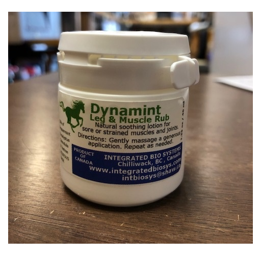 Dynamint Equine Muscle Rub 500ml - Steadfast Equestrian-1141775