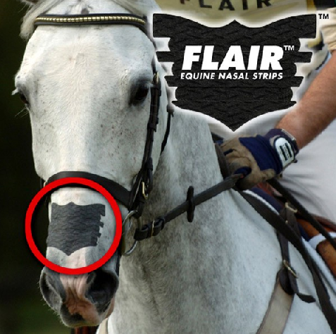 FLAIR Equine nasal strips (single)