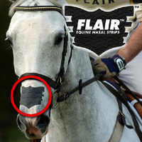 FLAIR Equine nasal strips (single)